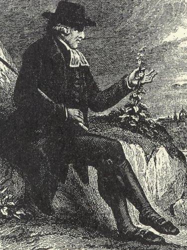 johnwalker