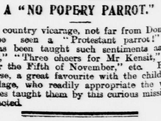 no popery parrot
